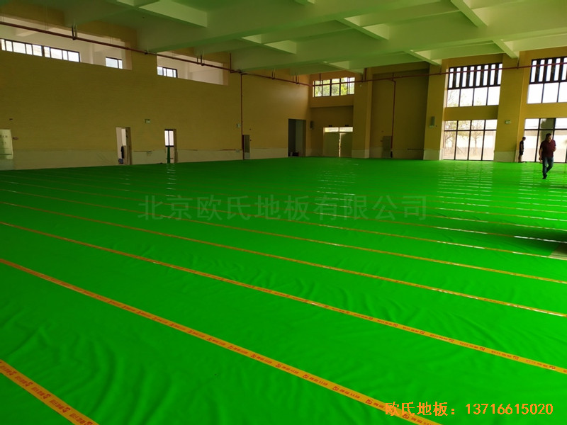 VS҅^(q)fɽСW(xu)@^\ӵذ尲b2